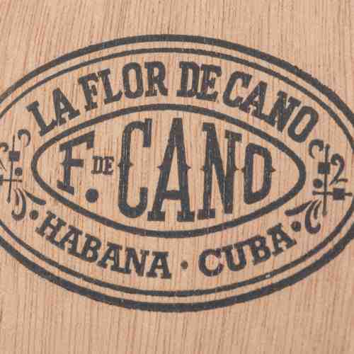 卡诺之花：对古巴雪茄的低调诠释